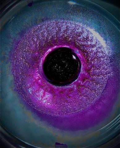 In vino verias